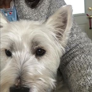 Meet your Posher, Patricia